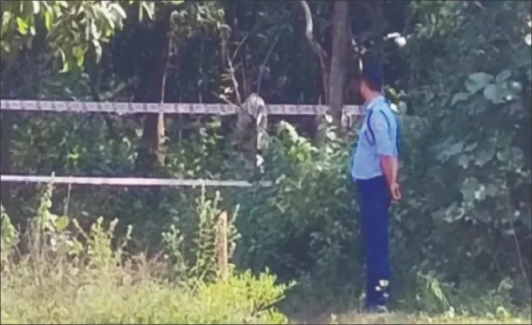 dagdgagdazcvvcv-2025-10-15-01-12-16