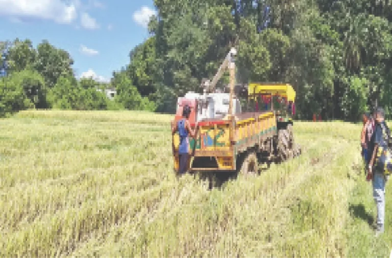 malkangiri-2025-10-27-03-26-18